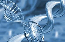 Reconnective Healing- DNA upgrade